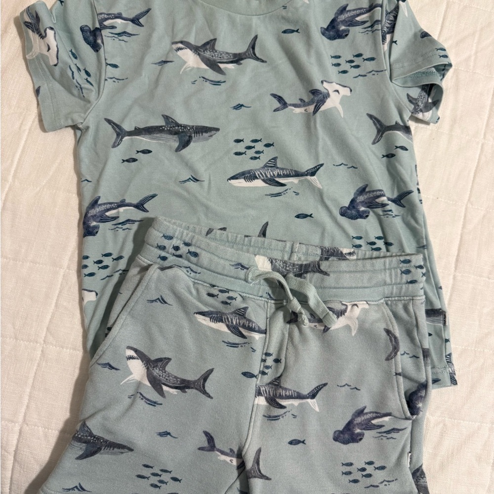 Little Sleepies Play Shark Print Set